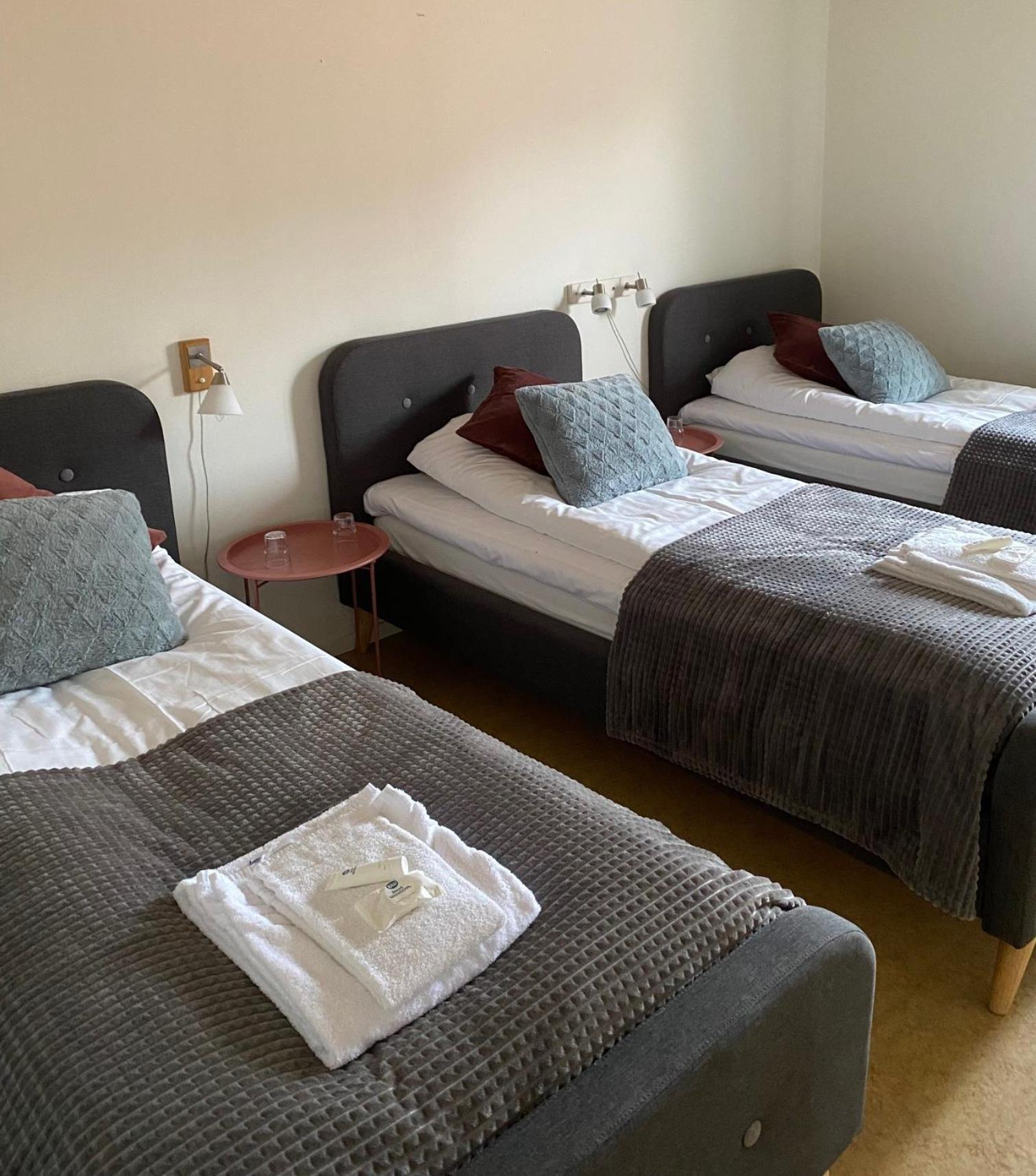 Snoea Bruk Hotell Och Konferens Dala-Jarna Buitenkant foto