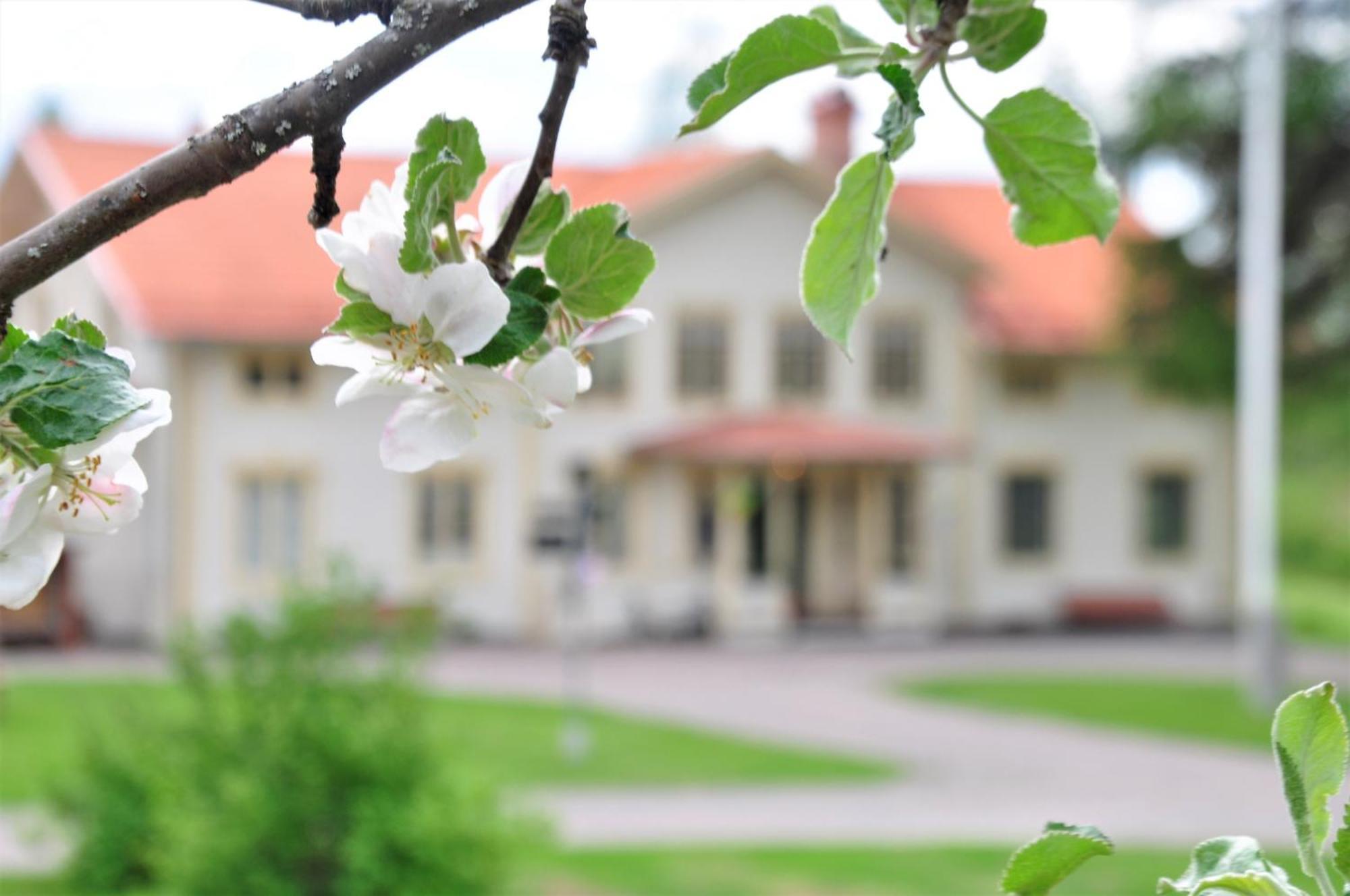 Snoea Bruk Hotell Och Konferens Dala-Jarna Buitenkant foto